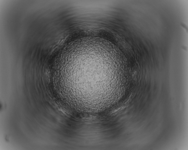 X0000091210772200708301427