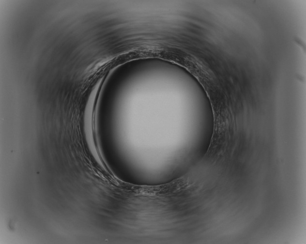 X0000091210773200708301427