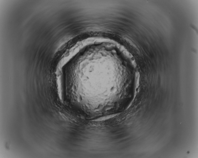 X0000091210775200708301427