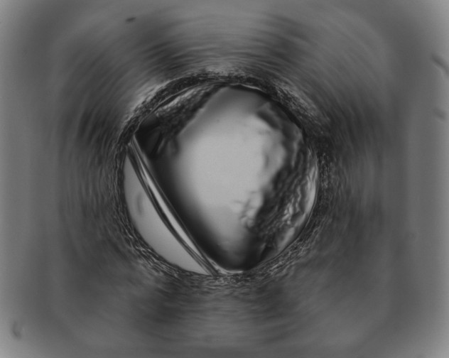 X0000091210776200708301427