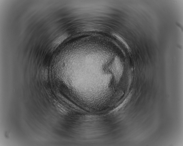 X0000091210777200708301427