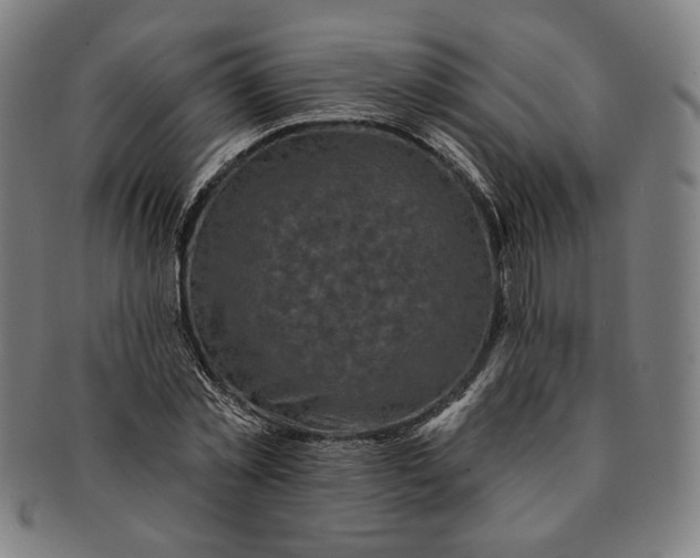 X0000091210781200708301427