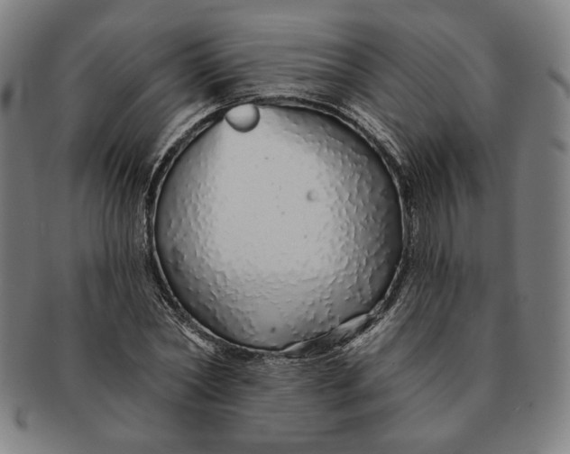 X0000091210782200708301427