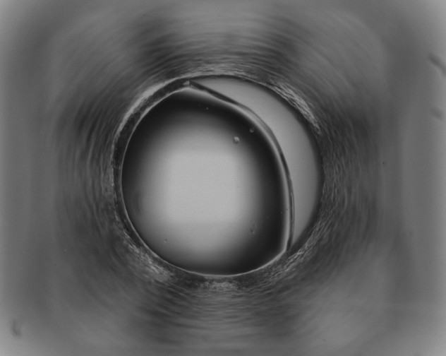 X0000091210784200708301427