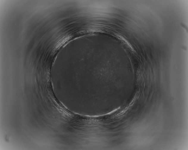 X0000091210785200708301427