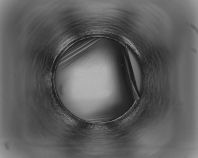 X0000091210786200708301427