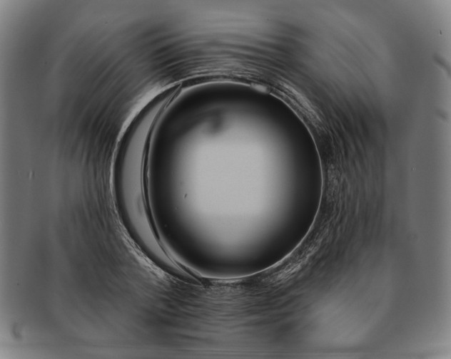 X0000091210788200708301427