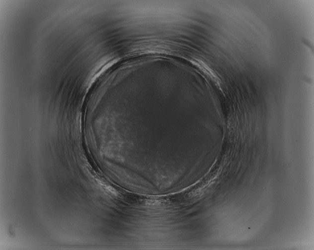 X0000091210790200708301427