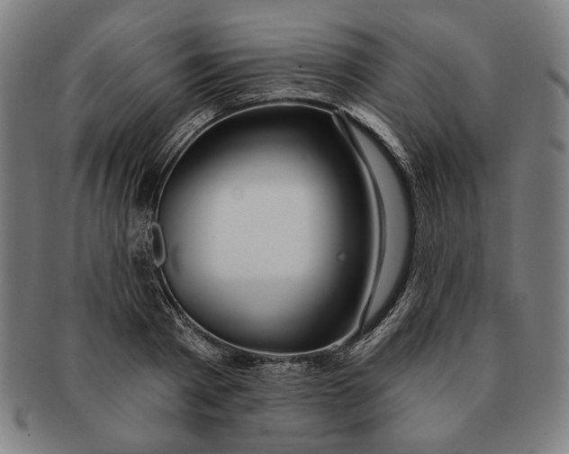 X0000091210793200708301427