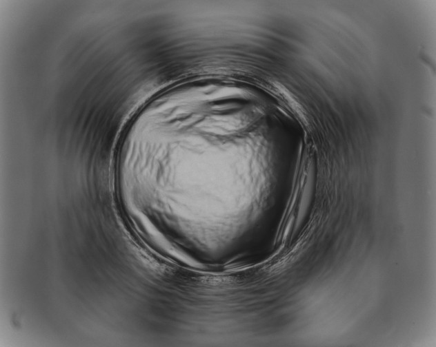 X0000091210795200708301427