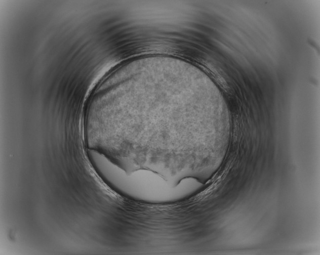 X0000091210796200708301427