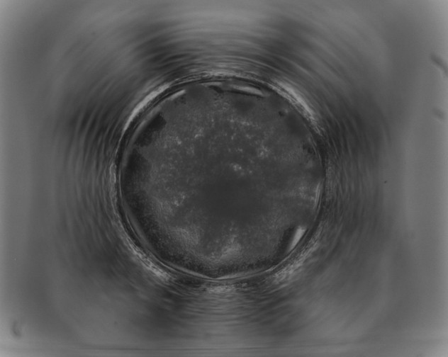 X0000091210798200708301427