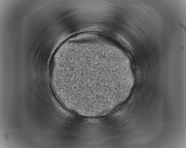 X0000091210800200708301427