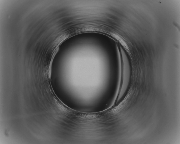 X0000091210801200708301427