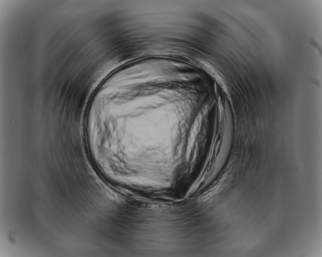 X0000091210803200708301427