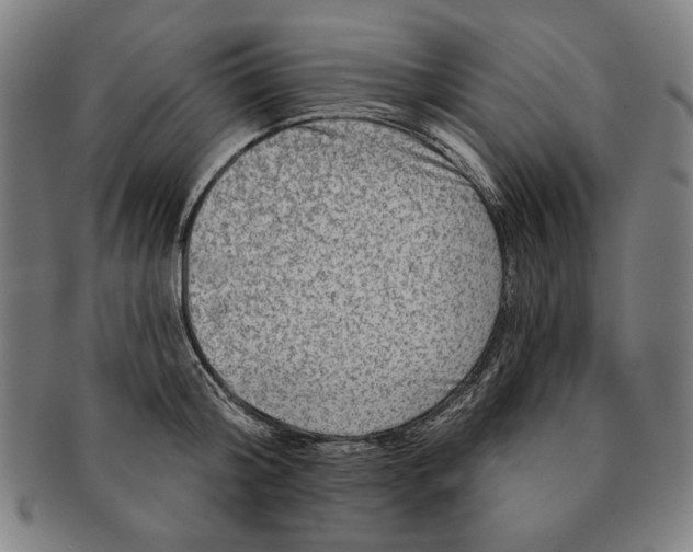 X0000091210804200708301427