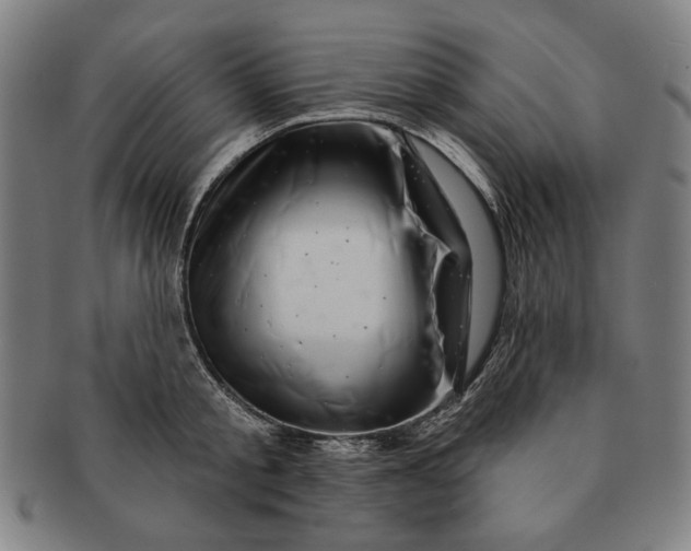 X0000091210805200708301427