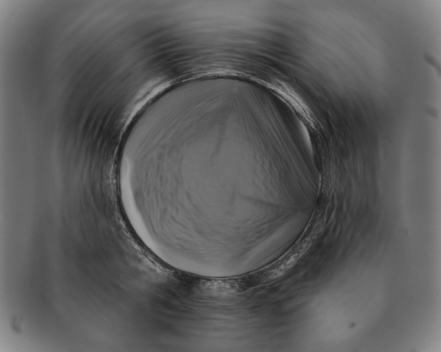 X0000091210806200708301427