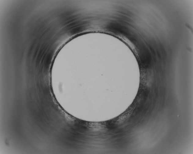 X0000091210807200708301427