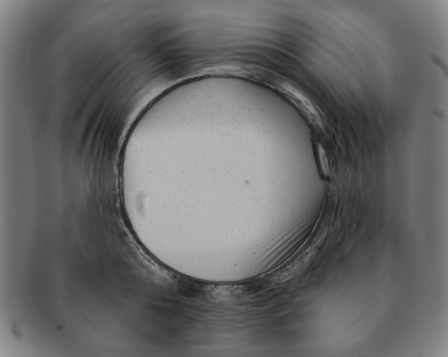 X0000091210808200708301427