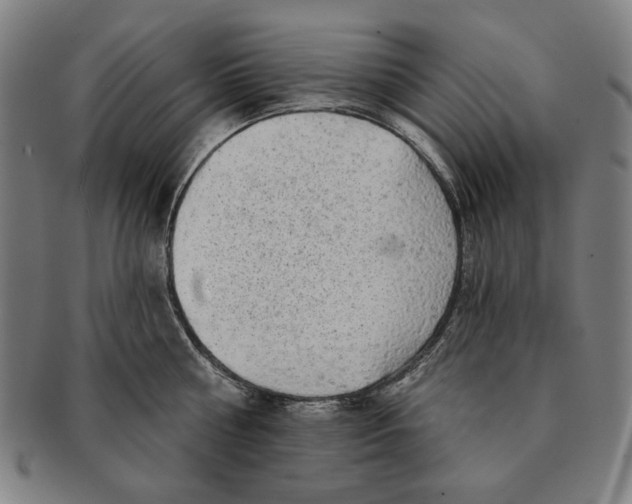 X0000091210810200708301427