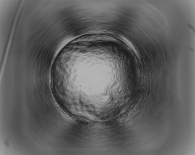 X0000091210811200708301427