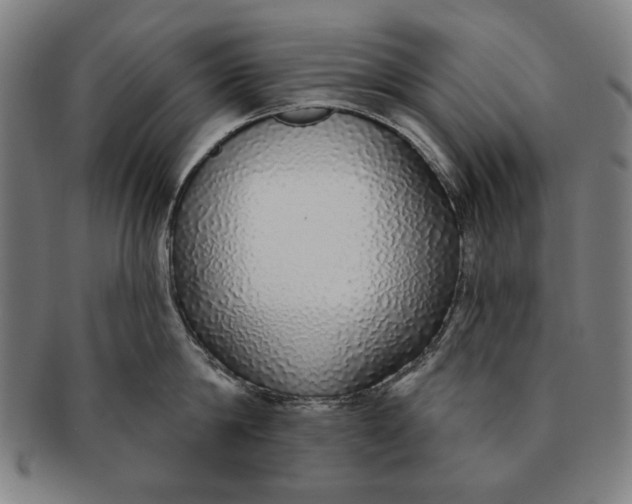 X0000091210814200708301426