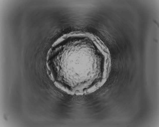 X0000091210817200708301426