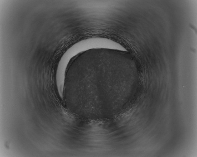 X0000091210818200708301426