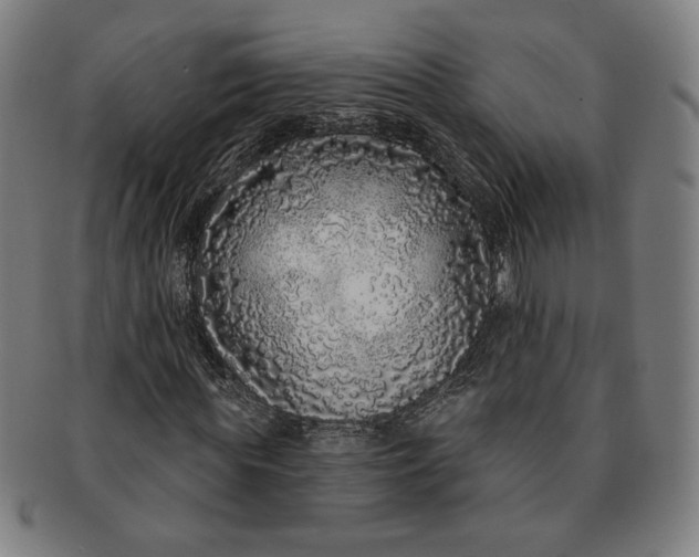 X0000091210819200708301426