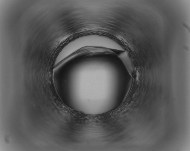 X0000091210822200708301426