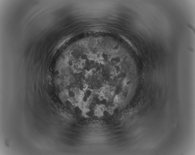 X0000091210823200708301426