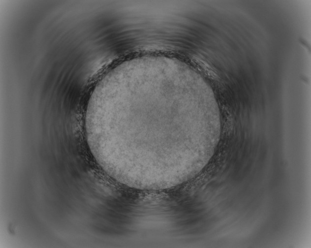 X0000091210824200708301426