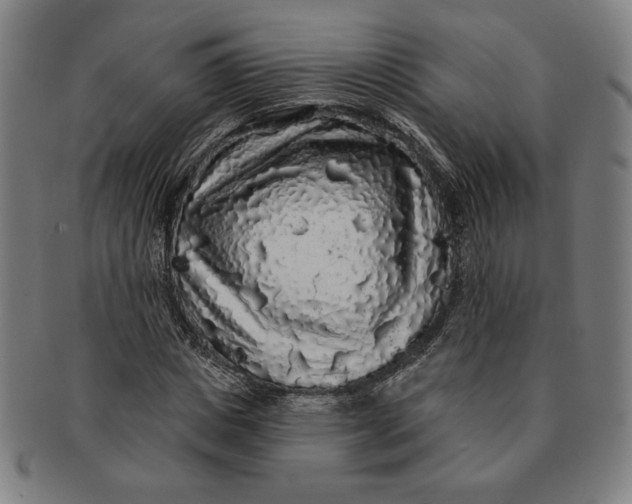 X0000091210825200708301426