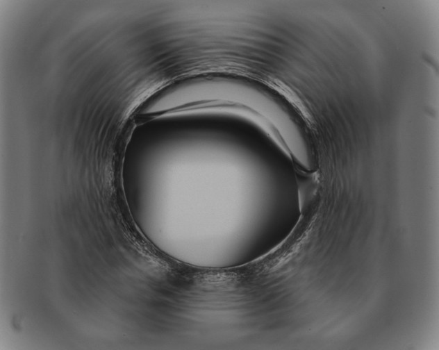 X0000091210826200708301426