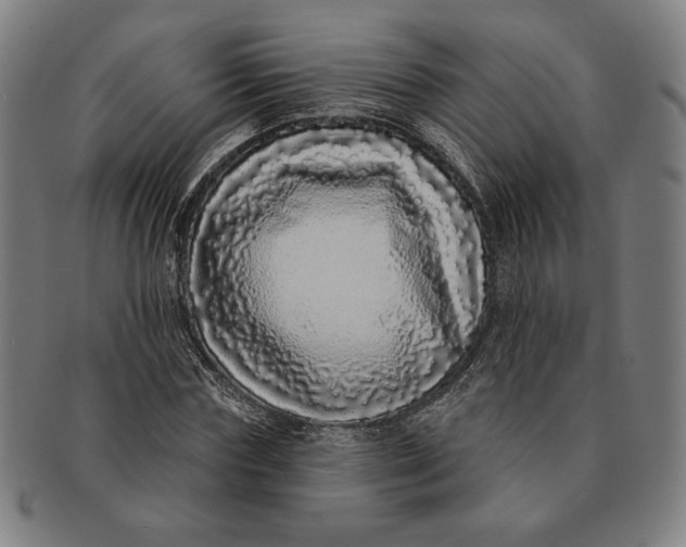 X0000091210827200708301426