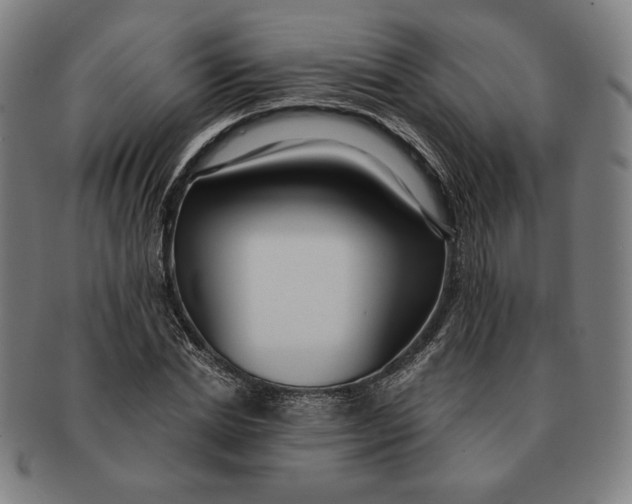 X0000091210830200708301426