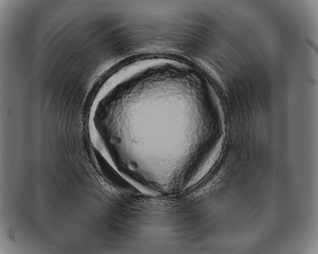 X0000091210831200708301426