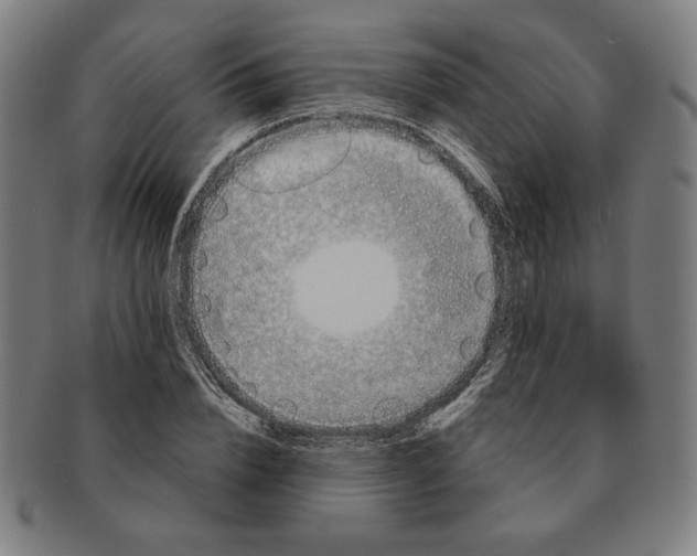 X0000091210832200708301426