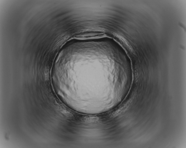 X0000091210833200708301426