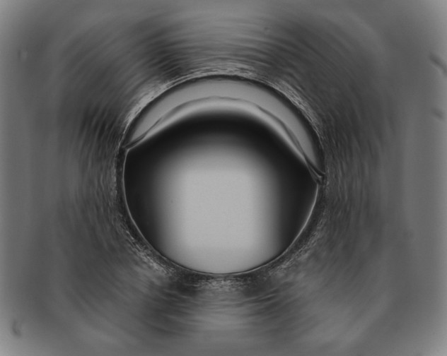 X0000091210834200708301426