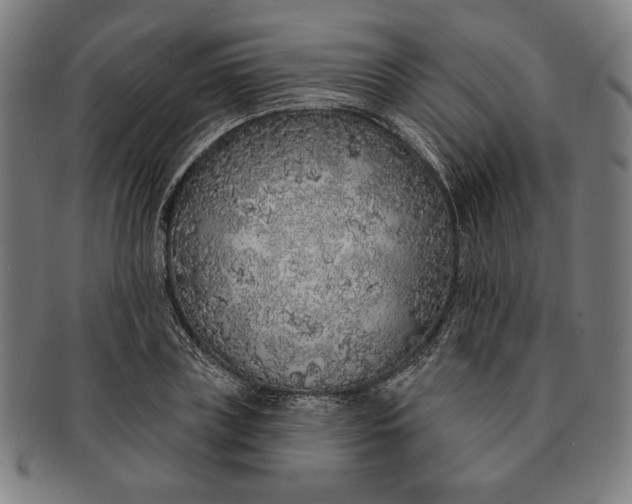 X0000091210835200708301426