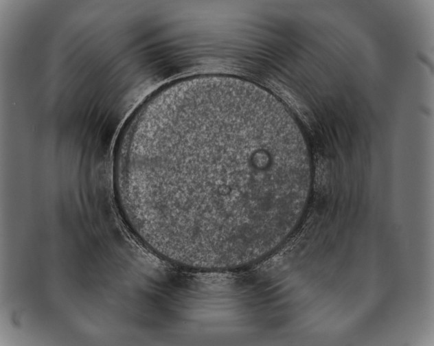 X0000091210836200708301426