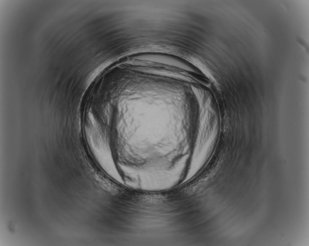 X0000091210837200708301426