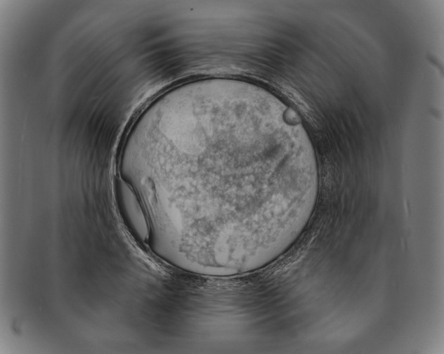 X0000091210840200708301426