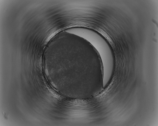 X0000091210842200708301426