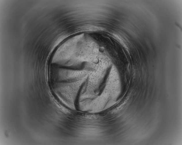 X0000091210843200708301426