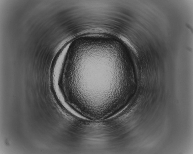 X0000091210845200708301426