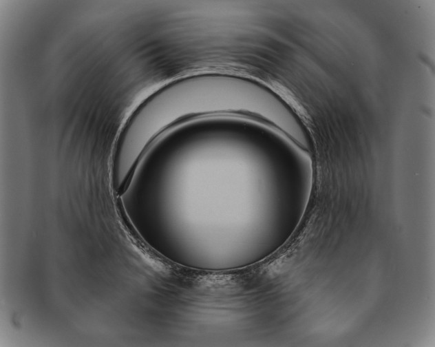 X0000091210846200708301426