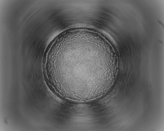 X0000091210847200708301426